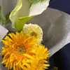 etsukosaito82 - @etsukosaito82 - TikTok
