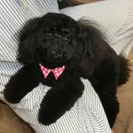 Etsuko Sano - @etsuko.sano.75 - Instagram