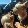 ETSUKO FUJIMOTO - @etsuko.fujimoto - TikTok