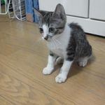 八木 悦子 - @etsuko.yagi.3 - Instagram