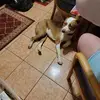 ettaallen44 - @0606kids - TikTok