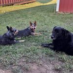 Etta Baker - @bakeretta - Instagram