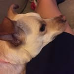 etta - @arriettabanks - Instagram