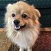 Etta Barnett - Facebook
