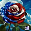 Wynnetta Barnett - @wynnetta.barnett - TikTok