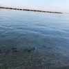 Lietta Barretta - @lietta.barretta - TikTok
