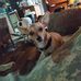 Etta Bateman - Facebook