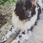 Etta Bean - @etta_beanstagram - Instagram