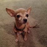 Etta - @etta_bean - Instagram