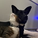 Etta Jane & Eleanor - @ettabean_ - Instagram