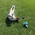 Etta Jean Butter Bean - @ettajeanbutter - Instagram