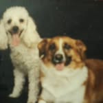 Etta King Jackson Beckner - @etta.beckner - Instagram
