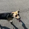 Ellie Mae - @ettaabell - TikTok