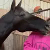 etta - @etta.corbell_eq - TikTok