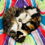 Bruce & Ketta - @bruceeketta - Instagram