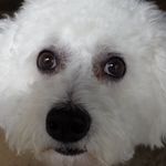 Etta Hall - @ettachall - Instagram