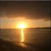 etta.harrison - @etta.harrison - TikTok