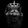 🦁محمد ابو جهاد🦁 - @ettaholt - TikTok