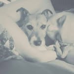 Etta Holt - @_ettaholt_ - Instagram
