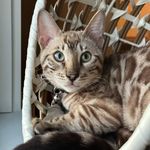 Charlesetta Windhurst - @charlesettawindhurst - Instagram