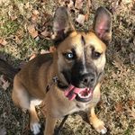 Etta Johnson - @etta_the_shedda - Instagram