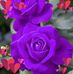 Etta Johnson - Facebook
