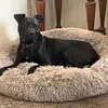 Etta Miller - @etta.miller52 - TikTok