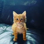 Etta Miller - @etta.miller.359778 - Instagram