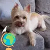 Ronetta Murray - @ronetta.murray - TikTok