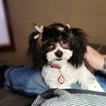 Mary Etta Petersen Miller - @maryettamiller - Instagram