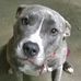 Etta Powell - Facebook