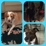 Riley-Gemma-Etta - @ty_rileygemmaetta - Instagram