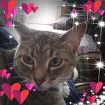 Juletta Shields - @julettashields - Instagram
