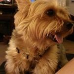 Etta C Sullivan - @etta.sullivan.77 - Instagram