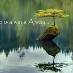 Etta Wilkinson - Facebook
