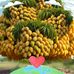 Anaf Atii - Facebook