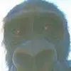 EUCHAN - @euchan308 - TikTok