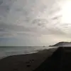 Francisco - @euchan086 - TikTok