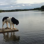Euan Armstrong - @armstrong.euan - Instagram