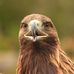 Euan Milne - Facebook
