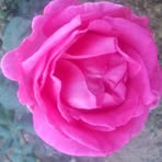 Eufemia Cabrera - Facebook