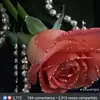 Eufemia Salinas Cabr - @eufemiasalinascabrera - TikTok