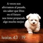 eufemia rivera cruz - @eufemiariveracruz - Instagram