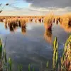 Eugen Popa - @eugen.popa07 - TikTok