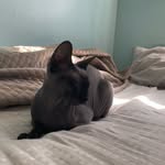 Eugene Aberg - @eugene_aberg - Instagram