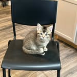 Eugene Archibald - @geniebeanie25 - Instagram