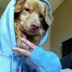Humphrey Eugene Archibald - Facebook
