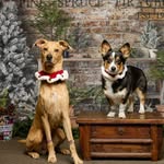 Eugene & Arnold - @dmcocchiara - Instagram