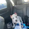 Eugene Arnold - @eugene.arnold5 - TikTok