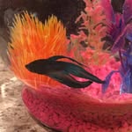 Oliver Eugene Ashworth-Warner - @trailerfish7220 - Instagram
